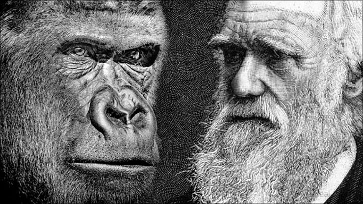 bewijs evolutietheorie darwin