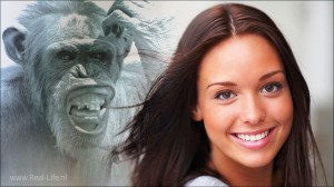 bewijzen evolutietheorie