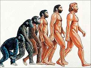 evolutie mens bewijzen