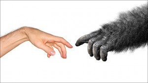 evolutietheorie natuurlijke selectie