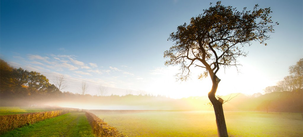 fotografie landschappen