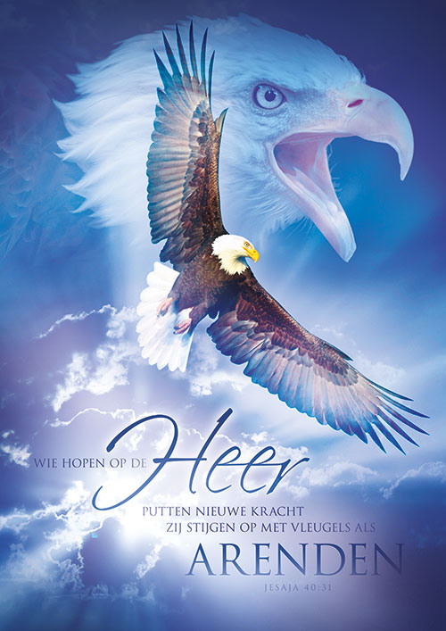 overgave arend poster